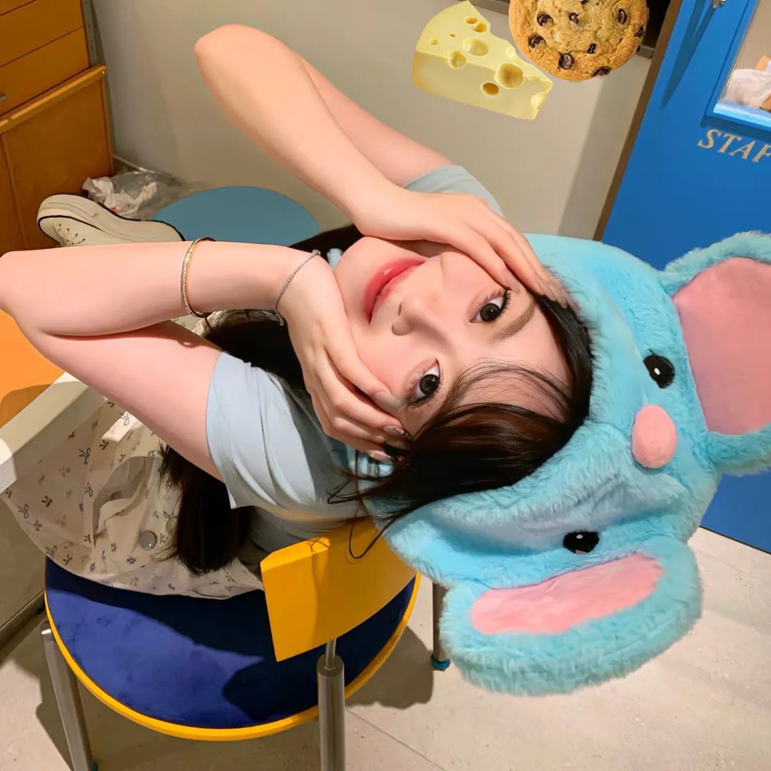 苍蝇